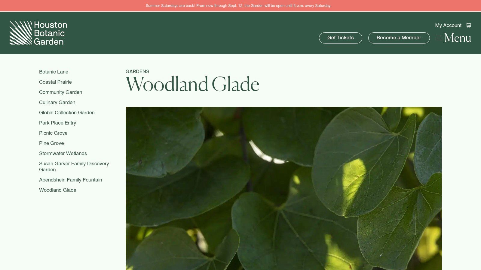Houston Botanic Garden, Woodland Glade
