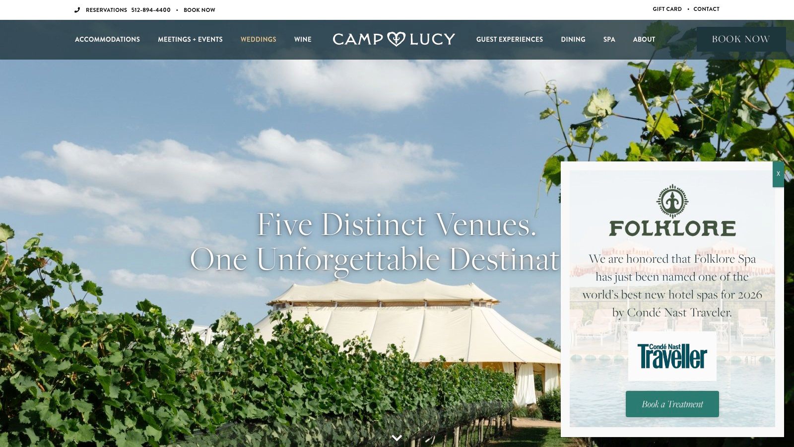 Camp Lucy, The Vineyard